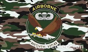 Coleccionismo: BANDERA AIRBORNE 80 X 125 CM