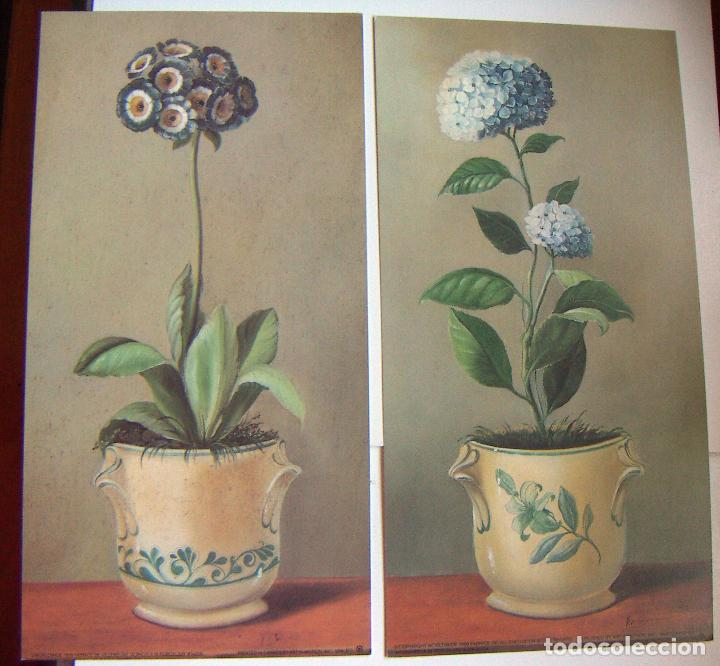 Coleccionismo: 4 LAMINAS DE PLANTAS PUBLICADAS POR ART IN MOTION