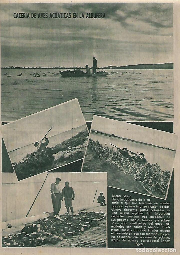 Collectionnisme: A&Ntilde;O 1952 RECORTE PRENSA CAZA TIRO CACERIA DE AVES ACUATICAS EN LA ALBUFERA