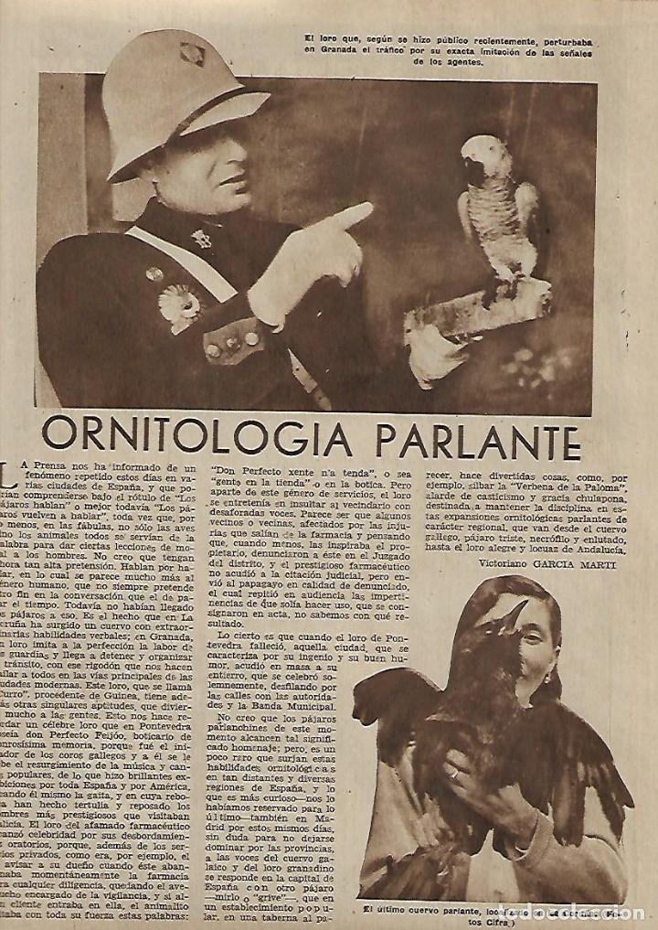 Collectionnisme: A&Ntilde;O 1952 RECORTE PRENSA ORNITOLOGIA PARLANTE CUERVO PARLANTE LA CORU&Ntilde;A LORO