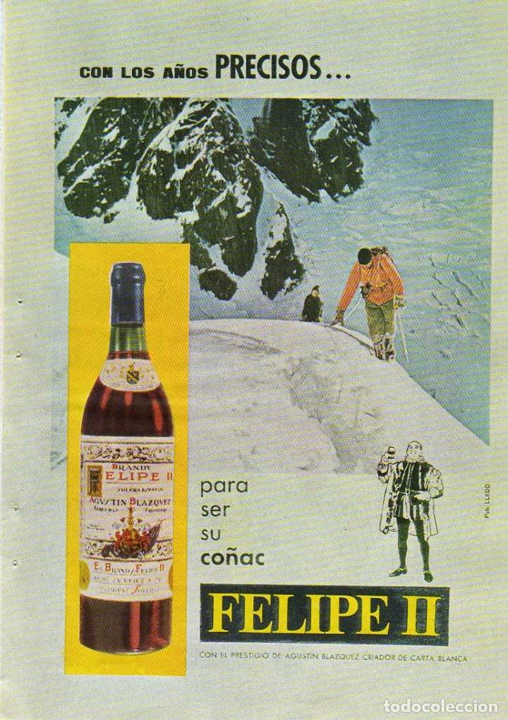 Coleccionismo: ANUNCIO PUBLICIDAD CO&Ntilde;AC FELIPE II-PANELES FRISO