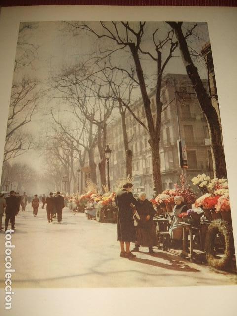 Sammelleidenschaft Papier: BARCELONA RAMBLA DE LAS FLORES LAMINA A&Ntilde;OS 50
