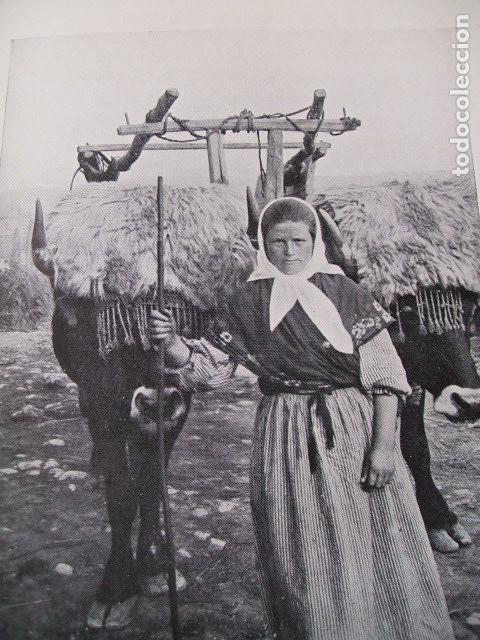 Sammelleidenschaft Papier: PAIS VASCO NI&Ntilde;A CON CARRO DE VACAS LAMINA HUECOGRABADO 1910