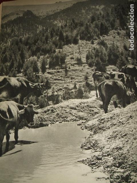 Coleccionismo: LA MOLINA GERONA PAISAJE ANTIGUA LAMINA HUECOGRABADO A&Ntilde;OS 40