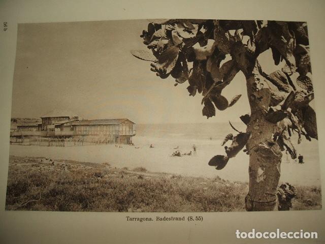 Colecionismo: TARRAGONA PLAYA ANTIGUA LAMINA HUECOGRABADO A&Ntilde;OS 20
