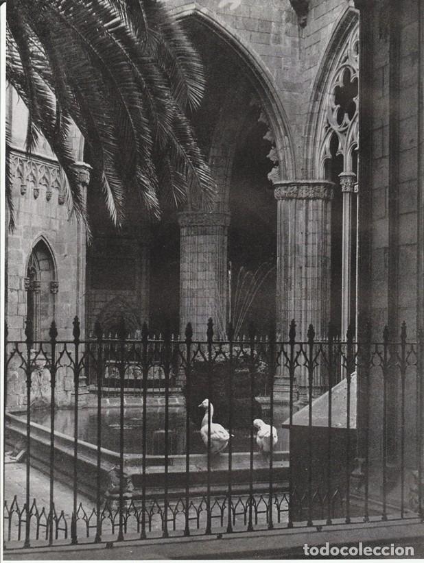 Collectionnisme: BARCELONA ANTIGUA - LAMINA / HOJA RECORTADA - CLAUSTRO DE LA CATEDRAL - ARCOS PALMERAS OCAS Y FUENTE