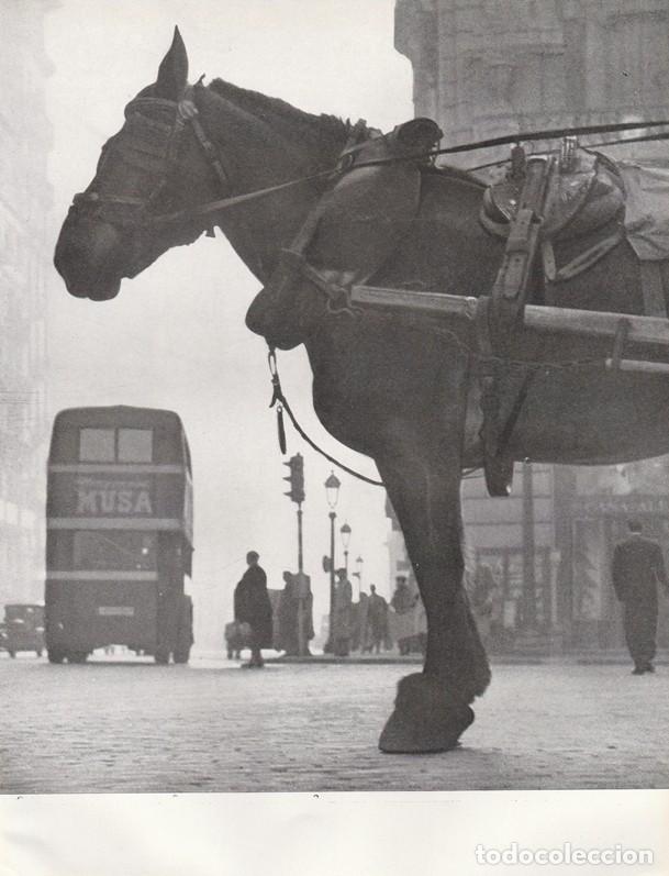 Collectionnisme: BARCELONA ANTIGUA - LAMINA / HOJA RECORTADA - VIA LAYETANA - CABALLO - AUTOBUS -