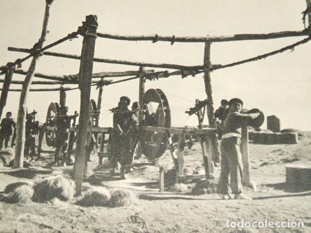 Coleccionismo: ALMERIA LABOR DEL LINO LAMINA HUECOGRABADO A&Ntilde;OS 40