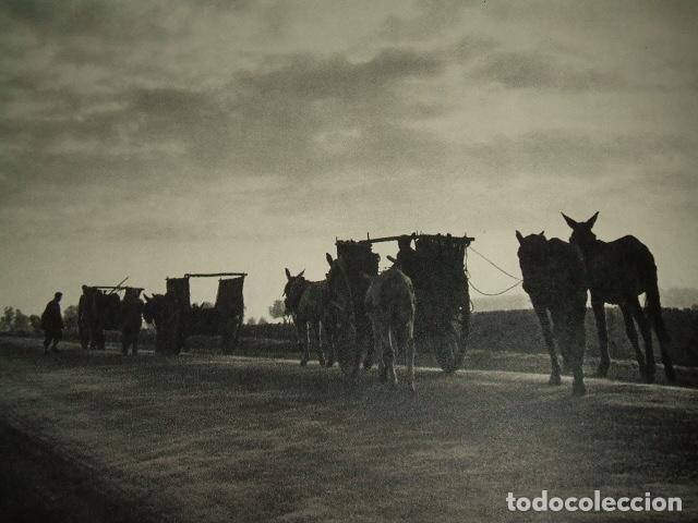 Collectionnisme: AVILA VUELTA DE LA TRILLA LAMINA HUECOGRABADO A&Ntilde;OS 40
