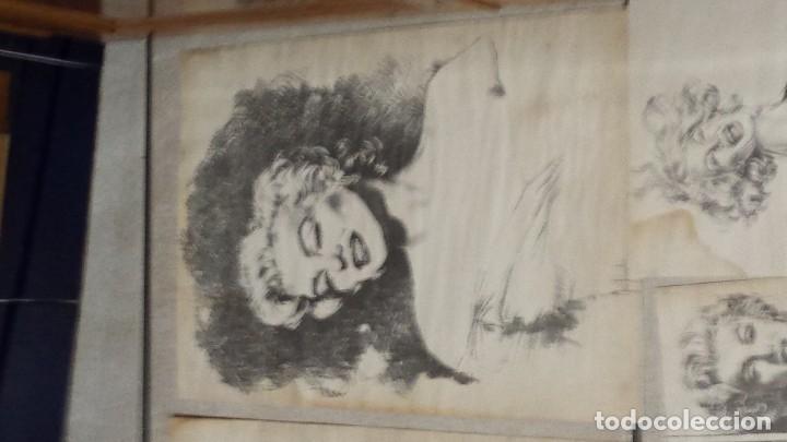 Coleccionismo: Laminas Marilyn Monroe - Foto 9