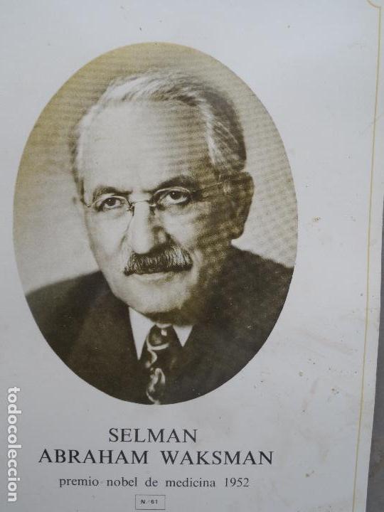 Coleccionismo: SELMAN ABRAHAM WAKSMAN PREMIO NOBEL MEDICINA 1952  ANVERSO FOTO REVERSO BIOGRAFIA
