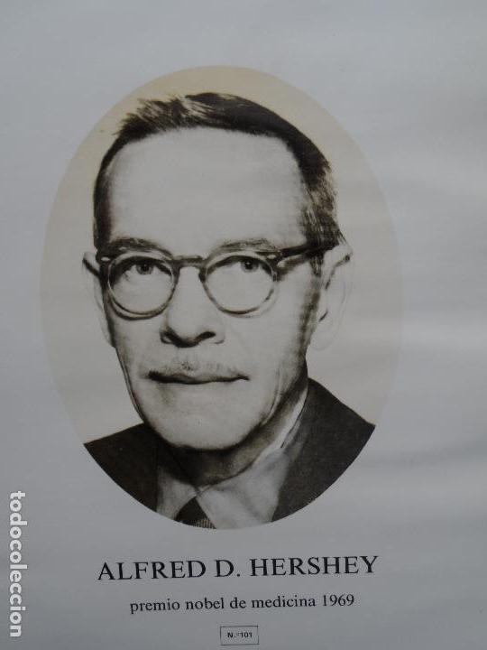 Coleccionismo: ALFRED D. HERSHEY PREMIO NOBEL MEDICINA 1969  ANVERSO FOTO REVERSO BIOGRAFIA
