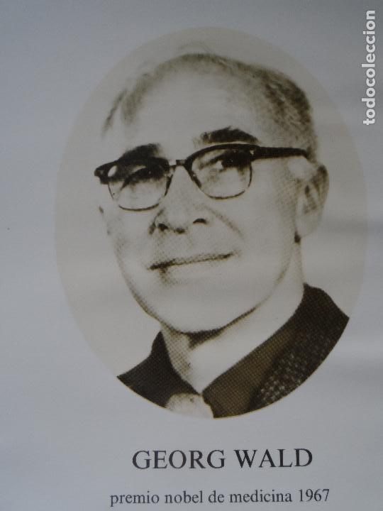 Coleccionismo: GEORG WALD PREMIO NOBEL MEDICINA 1967 ANVERSO FOTO REVERSO BIOGRAFIA