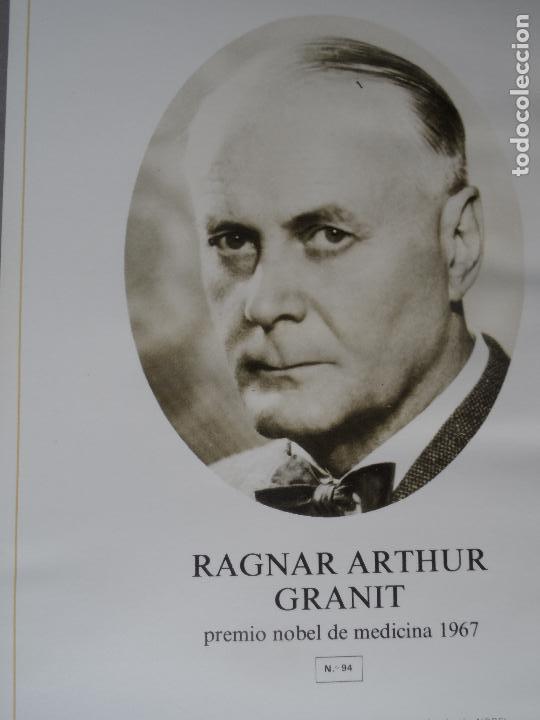 Coleccionismo: RAGNAR ARTHUR GRANIT PREMIO NOBEL MEDICINA 1967  ANVERSO FOTO REVERSO BIOGRAFIA