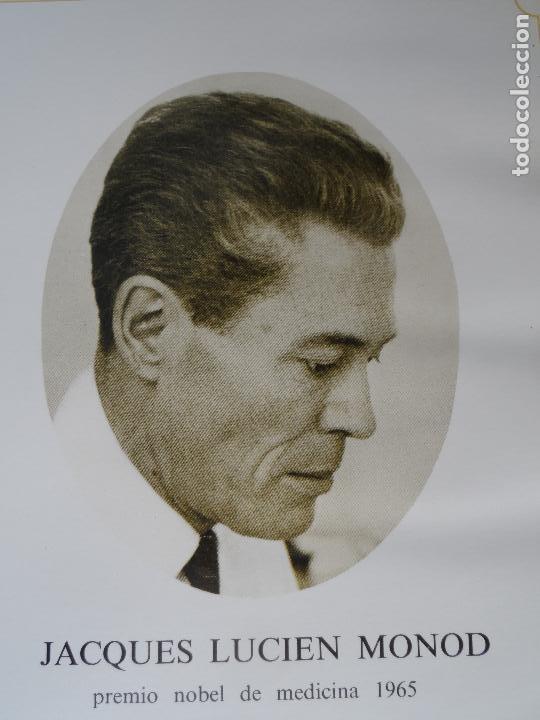 Coleccionismo: JACQUES LUCIEN MONOD PREMIO NOBEL MEDICINA 1965  ANVERSO FOTO REVERSO BIOGRAFIA