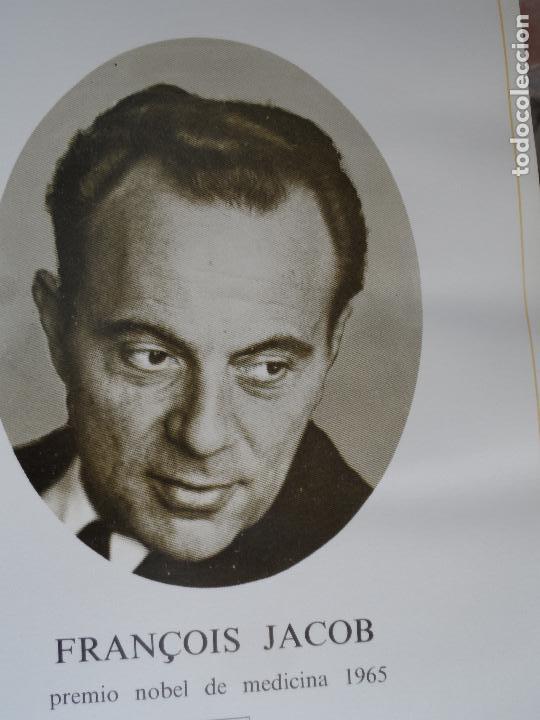 Coleccionismo: FRAN&ccedil;OIS JACOB PREMIO NOBEL MEDICINA 1965  ANVERSO FOTO REVERSO BIOGRAFIA