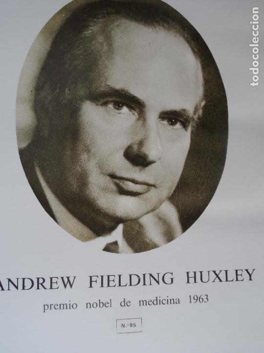 Coleccionismo: ANDREW FIELDING HUXLEY PREMIO NOBEL MEDICINA 1963 ANVERSO FOTO REVERSO BIOGRAFIA