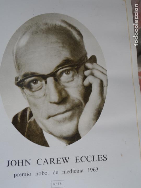 Coleccionismo: JOHN CAREW ECCLES PREMIO NOBEL MEDICINA 1963  ANVERSO FOTO REVERSO BIOGRAFIA