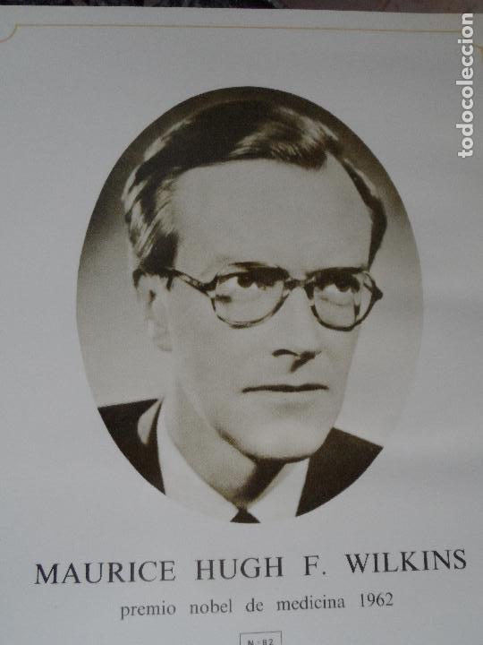 Coleccionismo: MAURICE HUGH F. WILKINS PREMIO NOBEL MEDICINA  1962 ANVERSO FOTO REVERSO BIOGRAFIA