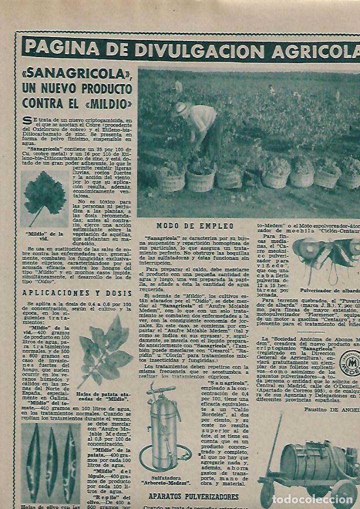 Sammelleidenschaft Papier: A&Ntilde;O 1962 RECORTE PRENSA AGRICULTURA SANAGRICOLA NUEVO PRODUCTO CONTRA EL MILDIO