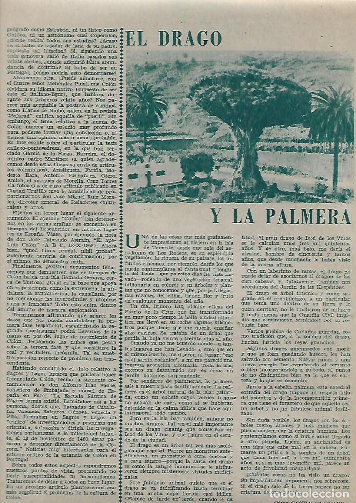 Collectionnisme: A&Ntilde;O 1962 RECORTE PRENSA EL DRAGO Y LA PALMERA CANARIAS