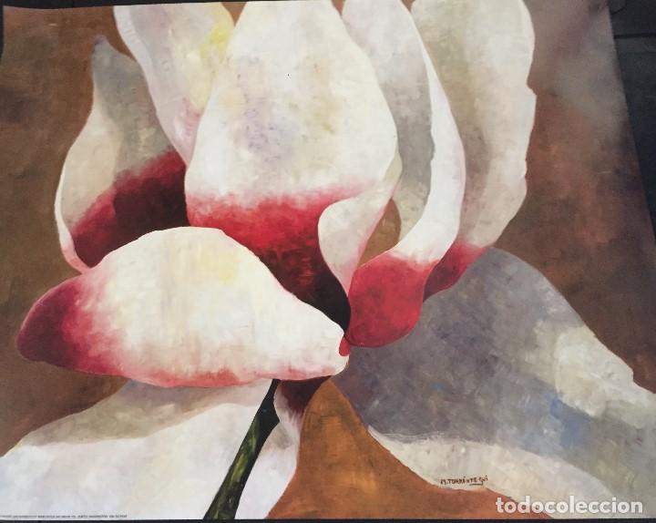 Coleccionismo: Torrontegui, M., 70x90 cms - Foto 1