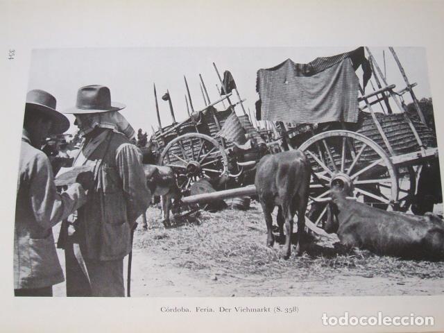 Collectionnisme: CORDOBA LA FERIA LAMINA HUECOGRABADO A&Ntilde;OS 20