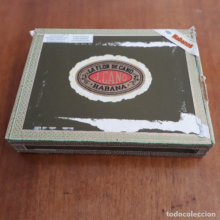 Coleccionismo: Caja vacia de madera de puros Flor de Cano - Foto 1