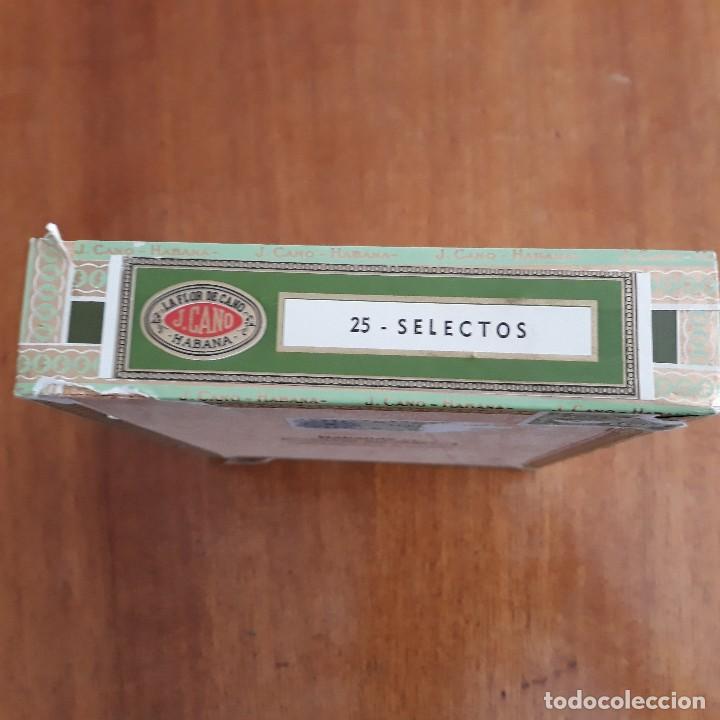 Coleccionismo: Caja vacia de madera de puros Flor de Cano - Foto 4