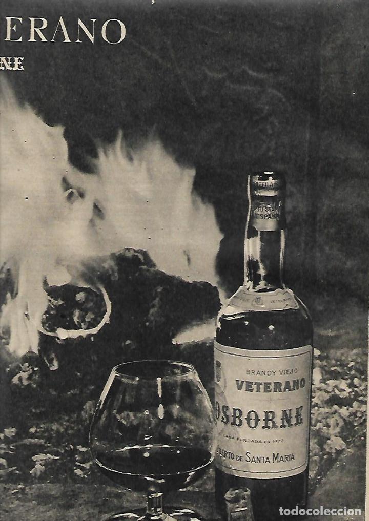 Collectionnisme: A&Ntilde;O 1959 RECORTE PRENSA PUBLICIDAD BEBIDAS BRANDY VIEJO VETERANO OSBORNE