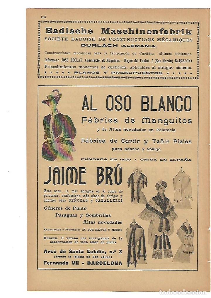 Collectionnisme: A&Ntilde;O 1905 PUBLICIDAD AL OSO BLANCO JAIME BRU FABRICA DE MANGUITOS CURTIR TE&Ntilde;IR PIELES