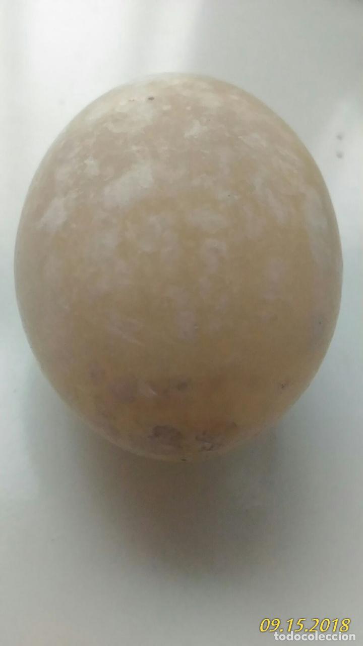 Coleccionismo: Huevo de Pascua. M&aacute;rmol - Foto 3