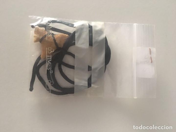 Coleccionismo: Diente de tiburon - Foto 1