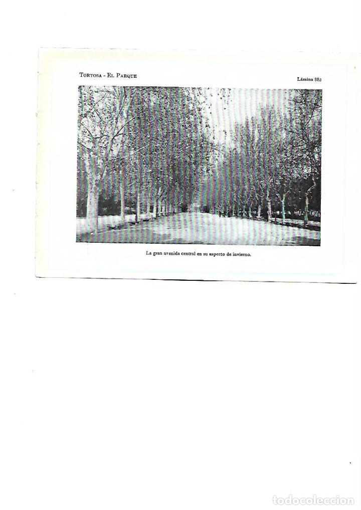 Coleccionismo: A&Ntilde;O 1922 RECORTE PRENSA FOTOGRAFIA TORTOSA EL PARQUE GRAN AVENIDA CENTRAL EN INVIERNO