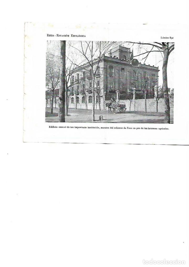 Coleccionismo: A&Ntilde;O 1922 RECORTE PRENSA FOTOGRAFIA REUS ESTACION ENOLOGICA CARRO TRACCION ANIMAL LAMINA TIPO POSTAL