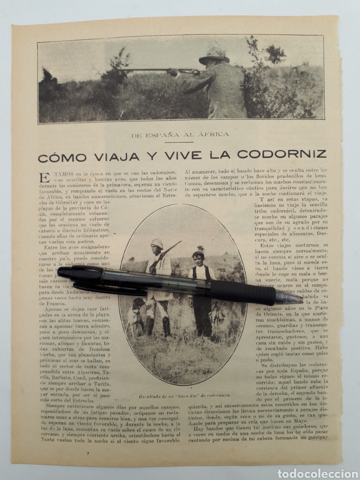 Coleccionismo: C&oacute;mo viaja y vive La Codorn&iacute;z. De Espa&ntilde;a al &Aacute;frica. 1921