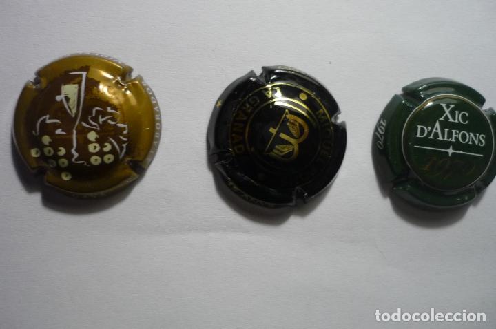 Coleccionismo: lote chapas de cava  variadas -