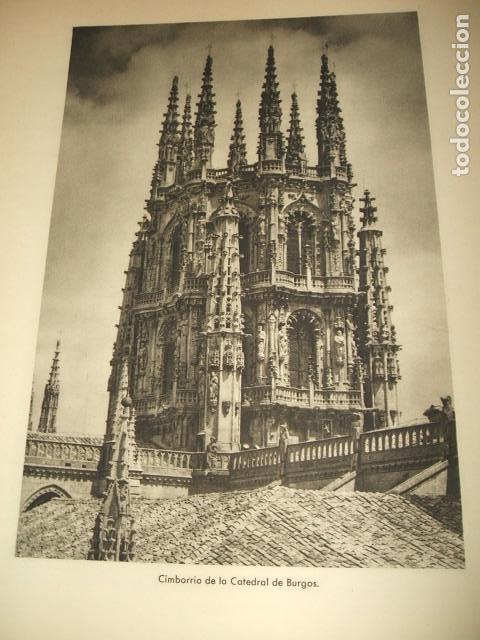 Colecionismo: BURGOS CATEDRAL CIMBORRIO ANTIGUA LAMINA HUECOGRABADO A&Ntilde;OS 40