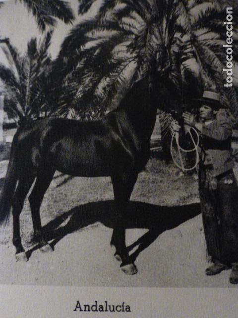 Colecionismo: ANDALUCIA ESCENA ANTIGUO HUECOGRABADO A&Ntilde;OS 40