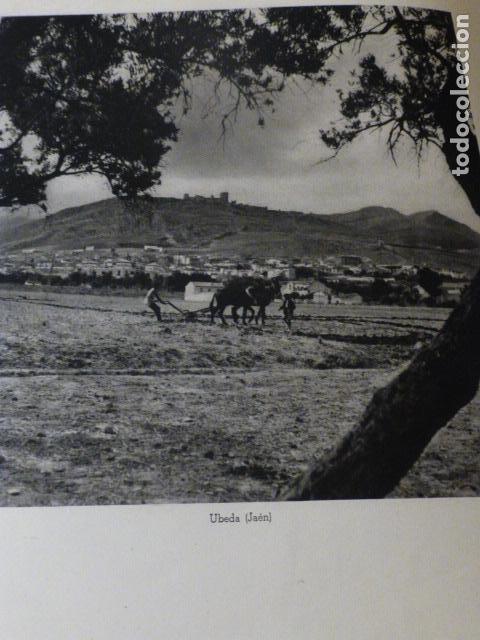 Collectionnisme: UBEDA JAEN ANTIGUO HUECOGRABADO A&Ntilde;OS 40