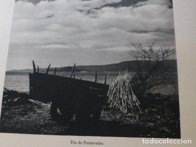 Sammelleidenschaft Papier: PONTEVEDRA LA RIA ANTIGUA LAMINA HUECOGRABADO A&Ntilde;OS 40