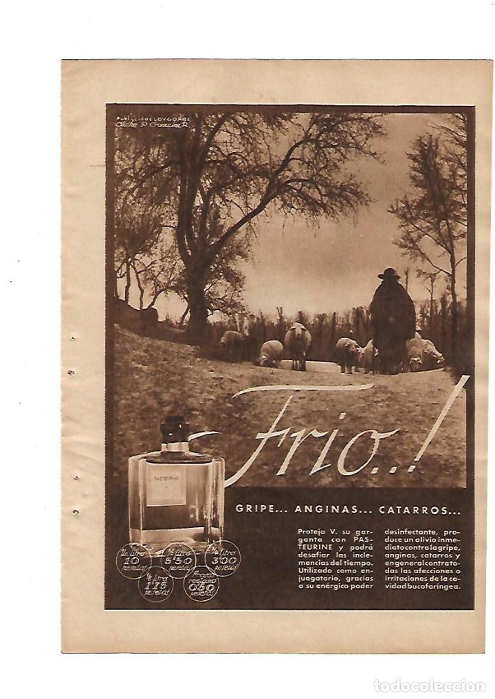 Sammelleidenschaft Papier: A&Ntilde;O 1936 RECORTE PRENSA PUBLICIDAD PASTEURINE GRIPE ANGINAS CATARRO