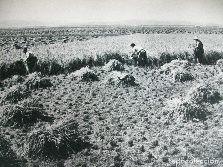 Collectionnisme: VALENCIA LA HUERTA ENTRE CULLERA Y SUECA ANTIGUA LAMINA HUECOGRABADO A&Ntilde;OS 40