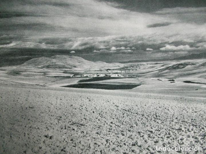 Collectionnisme: TABERNAS ALMERIA PAISAJE ANTIGUA LAMINA HUECOGRABADO A&Ntilde;OS 40
