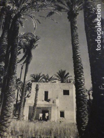 Sammelleidenschaft Papier: ELCHE ALICANTE ANTIGUA LAMINA HUECOGRABADO A&Ntilde;OS 40