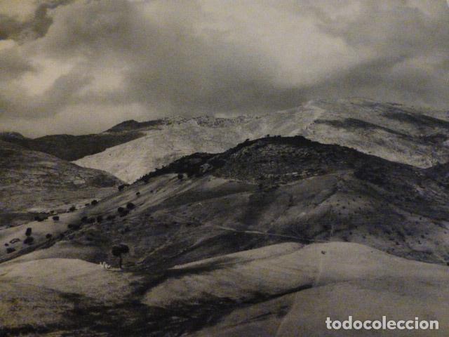 Collectionnisme: MONTES JAEN ANTIGUA LAMINA HUECOGRABADO A&Ntilde;OS 40