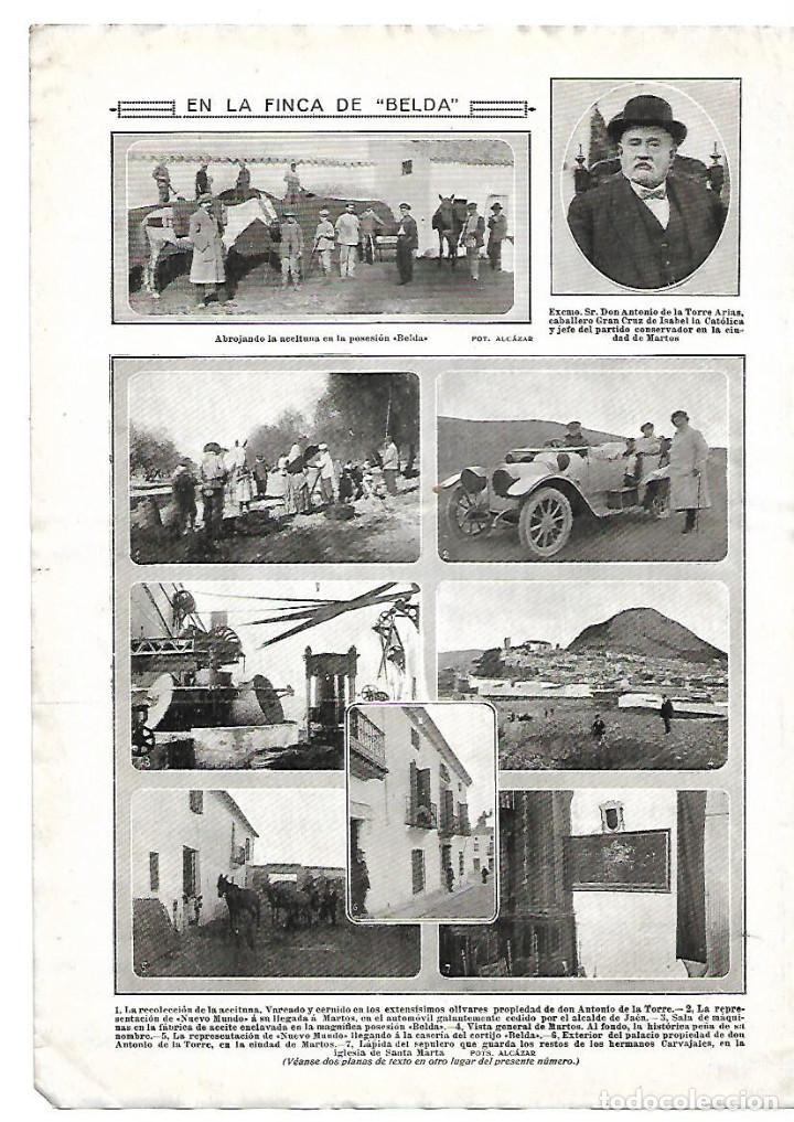 Collezionismo: A&Ntilde;O 1913 RECORTE PRENSA FINCA DE BELDA RECOLECCION ACEITUNA MARTOS ANTONIO DE LA TORRE