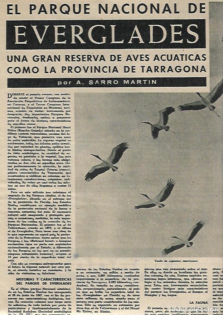 Collezionismo: A&Ntilde;O 1962 RECORTE PRENSA PARQUE NACIONAL DE EVERGLADES RESERVA AVES ACUATICAS TARRAGONA