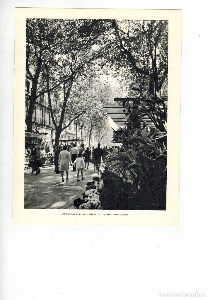 Collezionismo: A&Ntilde;O 1961 RECORTE PRENSA FOTOGRAFIA LAS RAMBLAS DE BARCELONA FOTOGRAFO CATALA ROCA LA RAMBLA RAMBLES