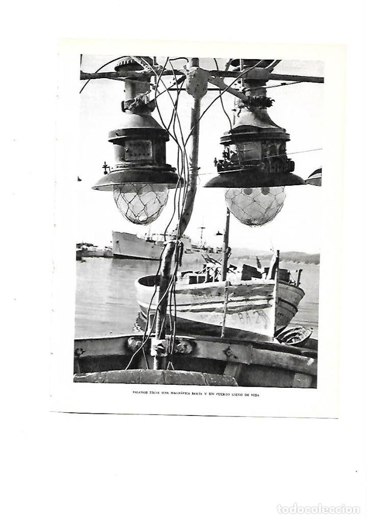 Coleccionismo: A&Ntilde;O 1961 RECORTE PRENSA FOTOGRAFIA PUERTO PALAMOS BARCAS PESCADORES LAMPARA FARO